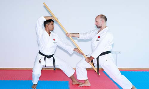 KARATE FOR INDIVIDUAL